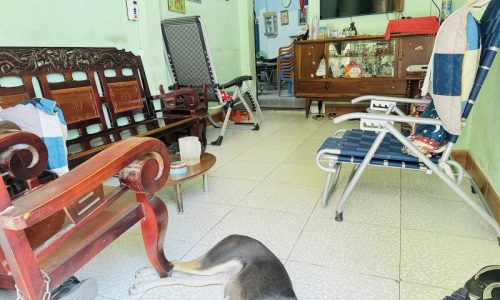 BÁN NHÀ BÌNH THẠNH 60M2 HẺM TO NỞ HẬU 8M 2 TẦNG 4PN  CHÍNH CHỦ NGUYỄN TRUNG TRỰC 5.4 TỶ.