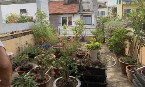 BÁN NHÀ TÂN BÌNH 68M2 3 TẦNG HXH NGANG 4M 5PN SÁT MẶT TIỀN SỔ VUÔNG  GẤP BÁN NGUYỄN HỒNG ĐÀO 8.5 TỶ.