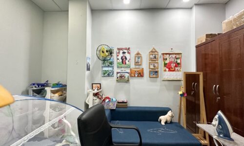 BÁN NHÀ BÌNH THẠNH HXH 12M KD ĐỈNH  50M2 2 TẦNG NGANG GẦN 4M VIP D2 7.9 TỶ