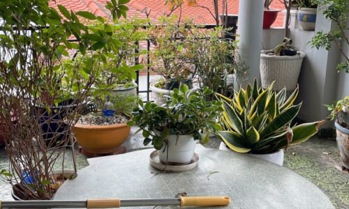 BÁN NHÀ PHÚ NHUẬN 60M2 HXH 4 TẦNG NGANG 4.5M 4 PN DÂN TRÍ CAO TRẦN HỮU TRANG 9 TỶ.